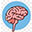 Central Nervous System